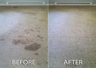 carpet cleaning companies in houston