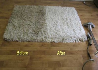 carpet cleaning service houston tx