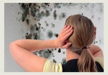 Which One is Better Solution Mold Removal or Remediation?